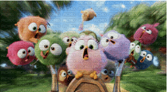 birds oiseaux vogel movie fun film fond image gif anime animated animation - Besplatni animirani GIF