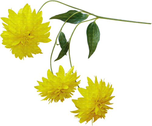 Flores  amarillas - бесплатно png