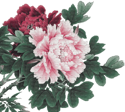 soave deco flowers animated oriental branch - GIF animé gratuit