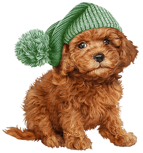 loly33 chien hiver - Free PNG