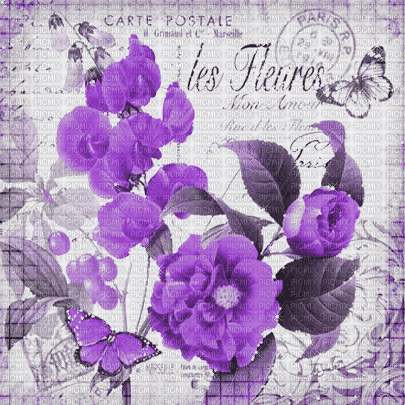 soave background animated  flowers purple - Nemokamas animacinis gif