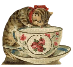 kitten in cup bp - zdarma png