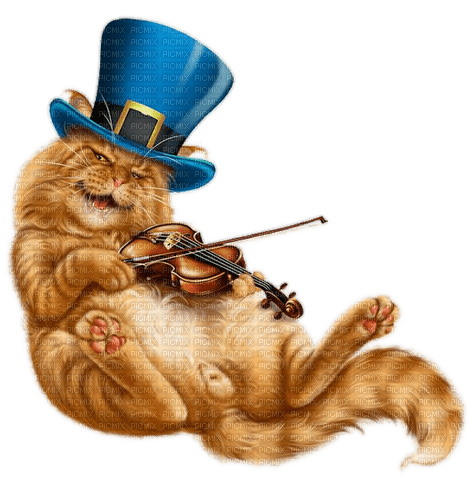 Katze, Geige, Hut - besplatni png