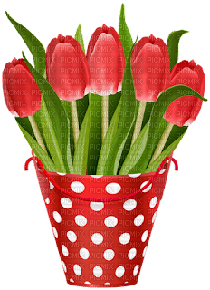 red tulips Bb2 - PNG gratuit
