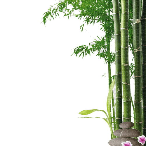 bambus milla1959 - бесплатно png