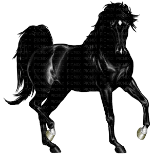 Horse, Adam64 - ilmainen png