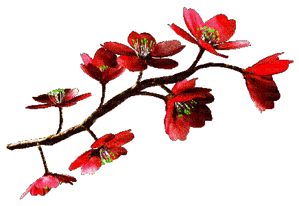 Red Flowers.Branch.gif.Victoriabea - GIF animado grátis