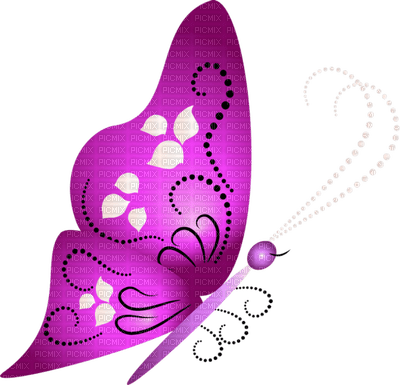 Butterfly- pages -2 - besplatni png