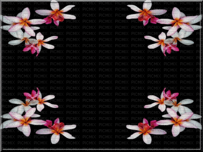 cadre fleur animated gif - Gratis geanimeerde GIF