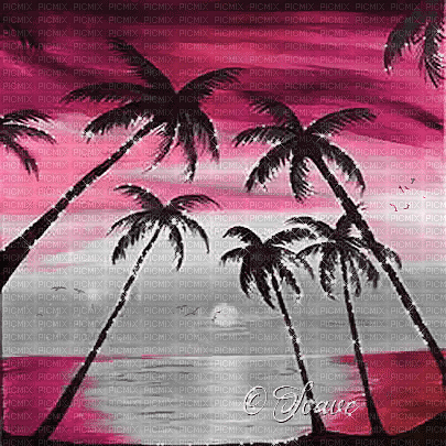 soave background animated summer tropical sea palm - Бесплатный анимированный гифка