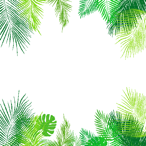 Animated.Tropical.Leaves.Frame - By KittyKatLuv65 - Ücretsiz animasyonlu GIF