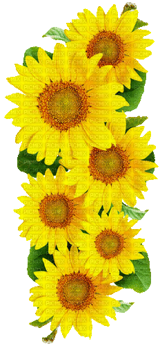 Animated.Sunflowers.Yellow - By KittyKatLuv65 - Ilmainen animoitu GIF