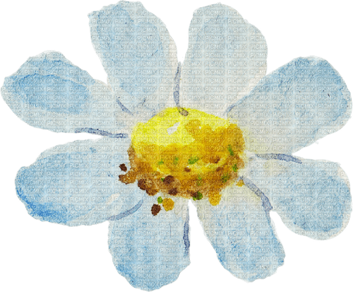 white flower Bb2 - Free PNG