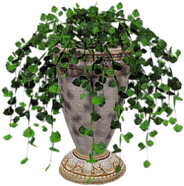 3D PLANTE - png grátis