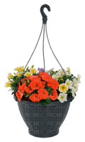 Blumenampel - png gratis
