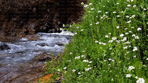 landskap  med ån - Безплатен анимиран GIF