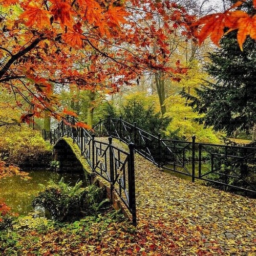 Осенний пейзаж. - безплатен png