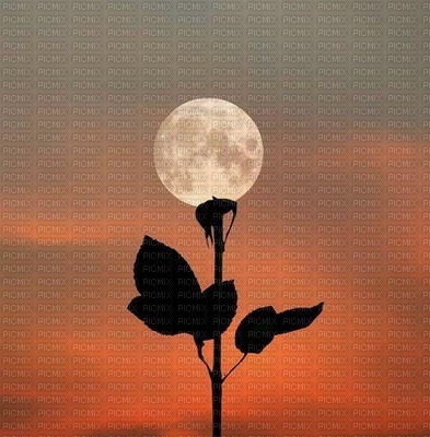 Moonflower - 免费PNG
