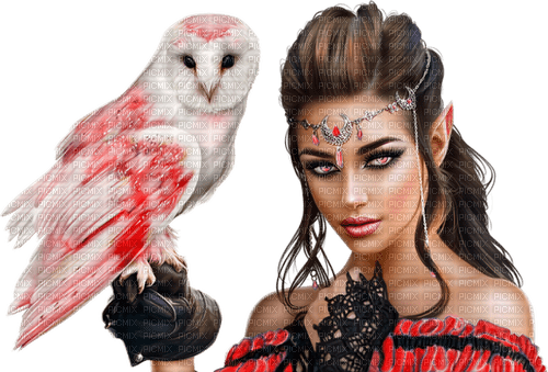 fantasy woman with owl by nataliplus - ücretsiz png