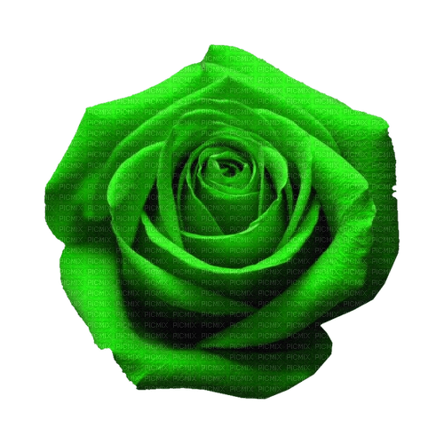 kikkapink deco scrap green rose - ingyenes png