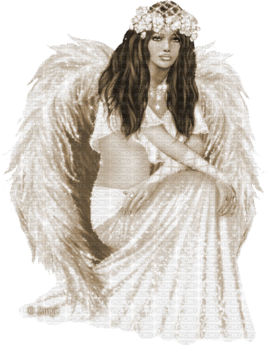 Y.A.M._Fantasy angel sepia - Бесплатный анимированный гифка
