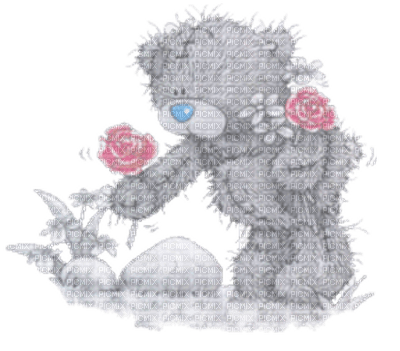 gray bear flower - ücretsiz png