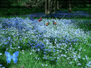 Blue.Flowers.Landscape.Spring.Victoriabea - GIF เคลื่อนไหวฟรี