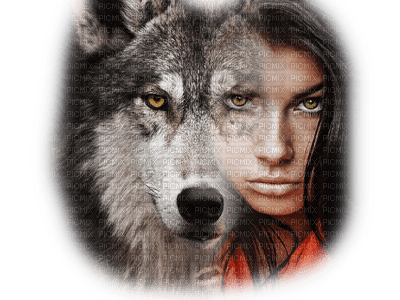 she-wolf - besplatni png