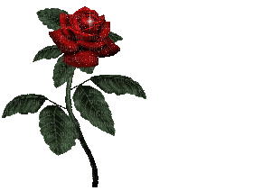 RED DANCING ROSE - Безплатен анимиран GIF