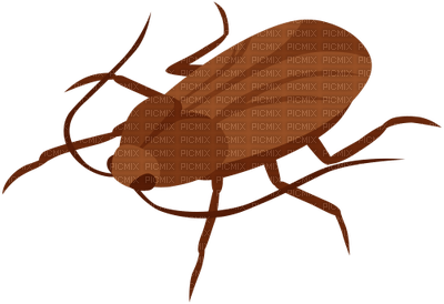 cockroach - gratis png