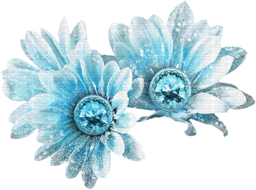 teal flowers Bb2 - png gratuito