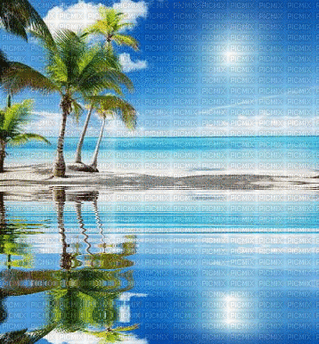 beach ani - Darmowy animowany GIF