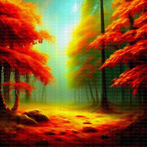 kikkapink autumn background forest - 無料png