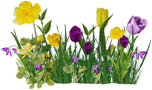 Blue DREAM  70 _ flowers_spring - Free PNG