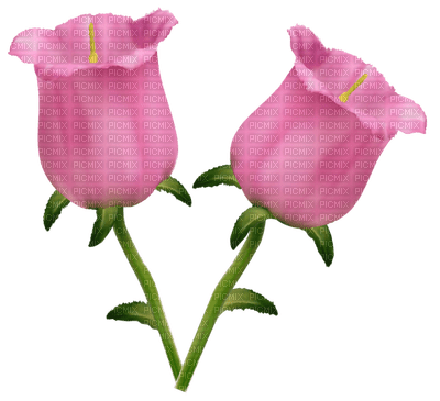 Kaz_Creations Flowers Flower - gratis png