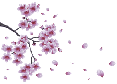 Kaz_Creations Flowers Flower Branch - фрее пнг