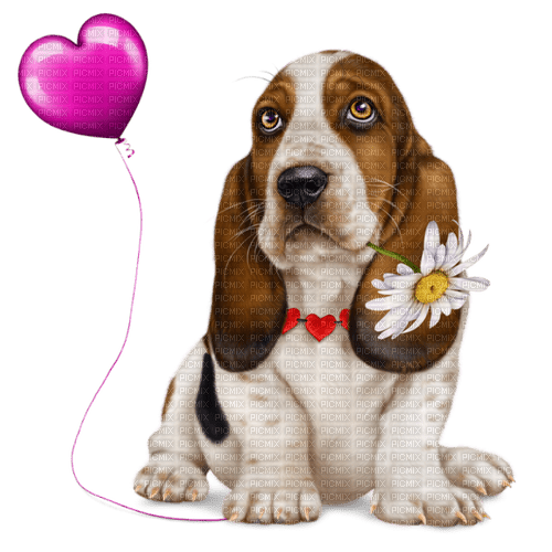 valentine dog by nataliplus - png ฟรี