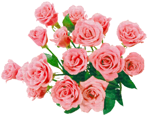Y.A.M._Flowers bouquets - Безплатен анимиран GIF