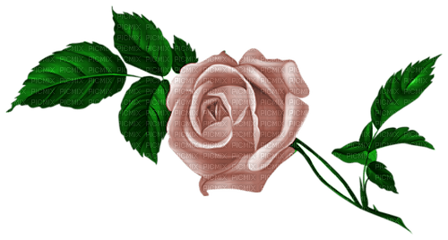 autumn deco kikkapink png rose flower pink - фрее пнг