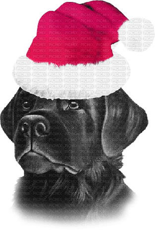 soave dog animals christmas deco black white pink - png gratis