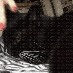 Petting a black cat - GIF animado gratis