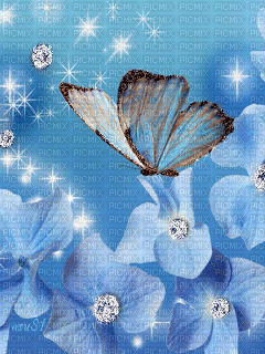 blue butterfly n diamond background - Free animated GIF