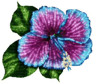 Animated.Flower.Purple.Blue - By KittyKatLuv65 - GIF animate gratis