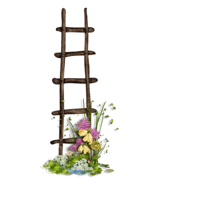 Kaz_Creations Ladders - png grátis