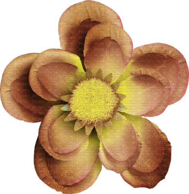 Kaz_Creations Deco Flower Autumn  Colours - nemokama png