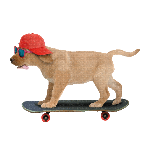 Nina dog - 無料のアニメーション GIF