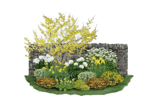 flower plant garden - gratis png