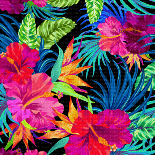 Тропические цветы арт - zdarma png