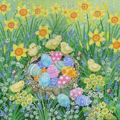 soave   background animated flowers field chick - Gratis animerad GIF