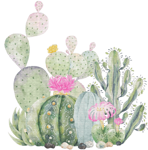 cacti Bb2 - nemokama png